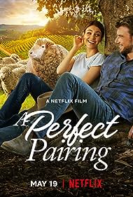 A Perfect Pairing (2022) watch-A Perfect Pairing (2022)