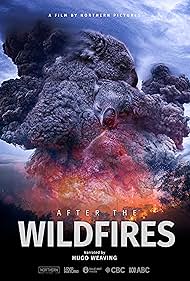 watch-After the Wildfires (2020)