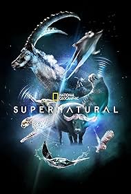watch-Super/Natural (2022)