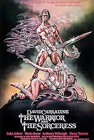 watch-The Warrior and the Sorceress (1984)